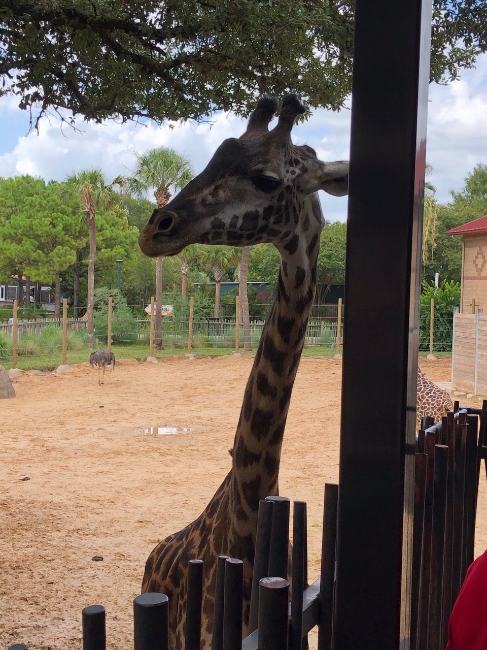 Vereinigte Staaten - Houston - 