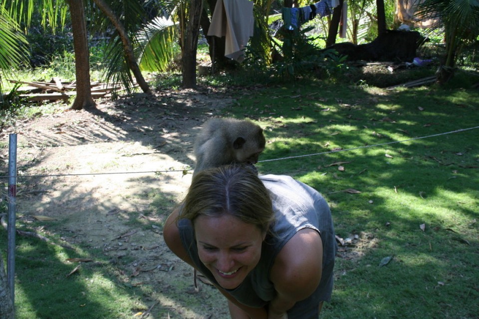 Thailand - Ko Kut - 