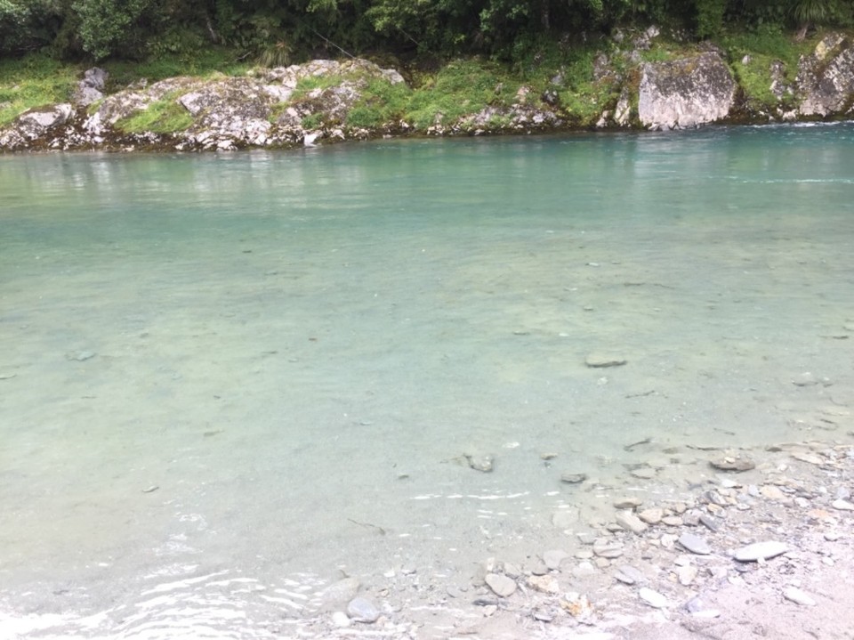 Neuseeland - Mt Aspiring National Park - 