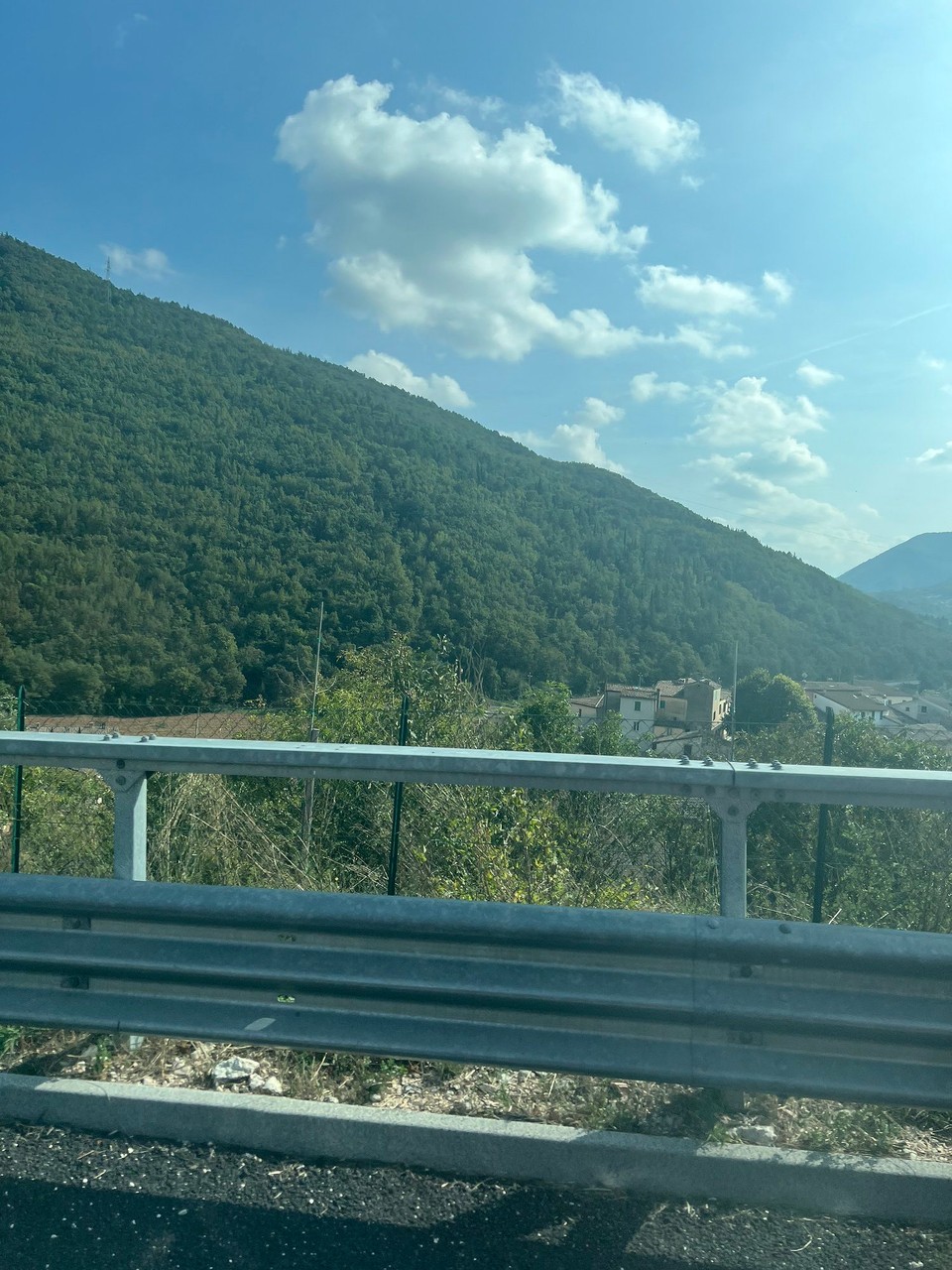 Italien - Fano - …und dann wieder vorbei an grossen Wäldern🌲🌲🌲🌳🌲🌲🌲🌲