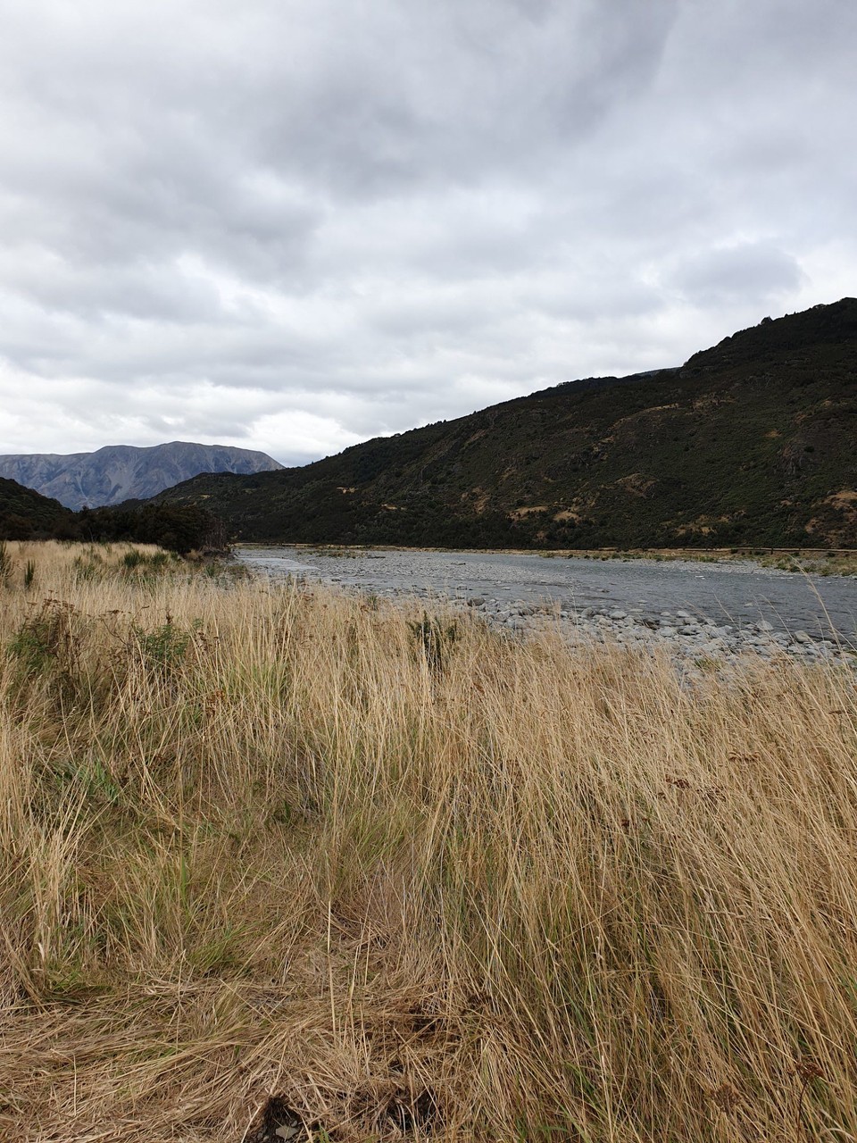 Neuseeland - Kaikoura - 