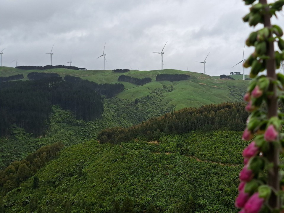 Neuseeland - Palmerston North - 