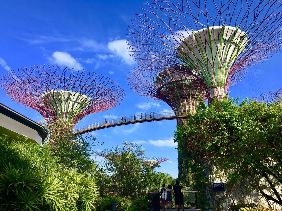 Singapur - Geylang - 
