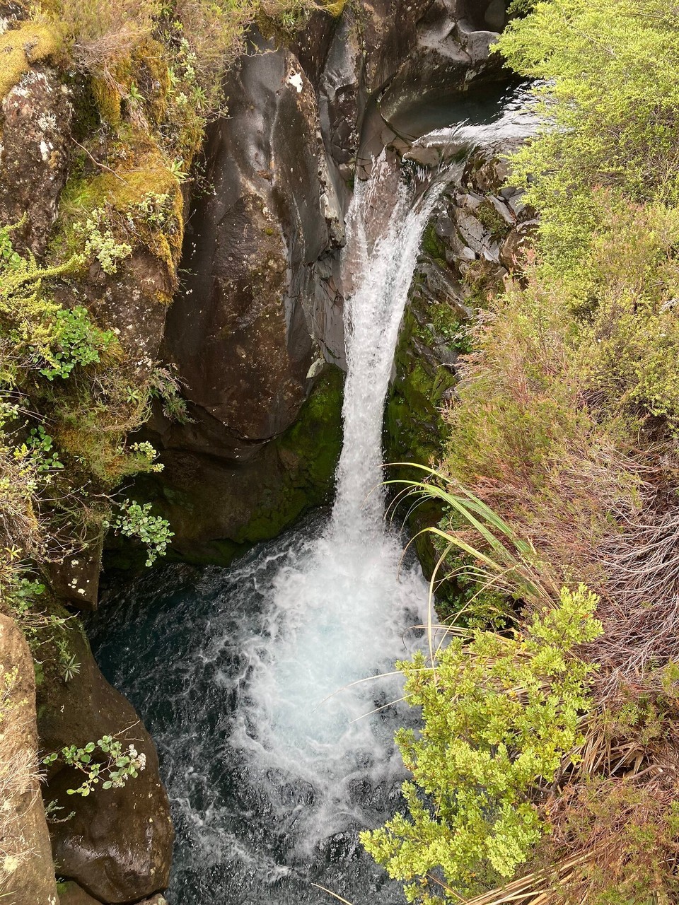 Neuseeland - Tongariro National Park - 