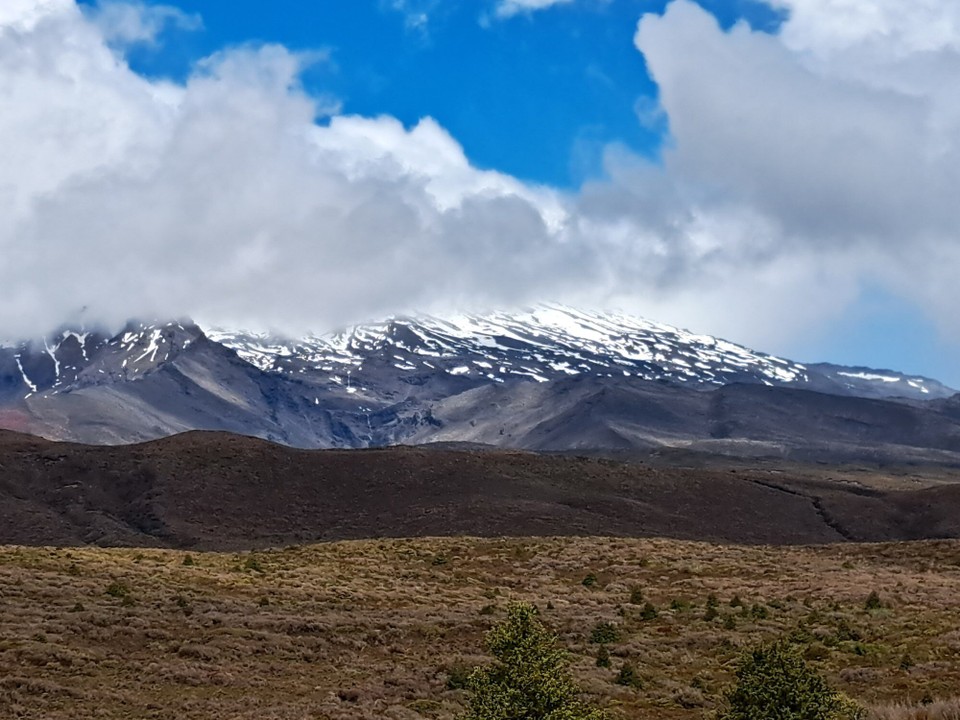 Neuseeland - unbekannt - 
