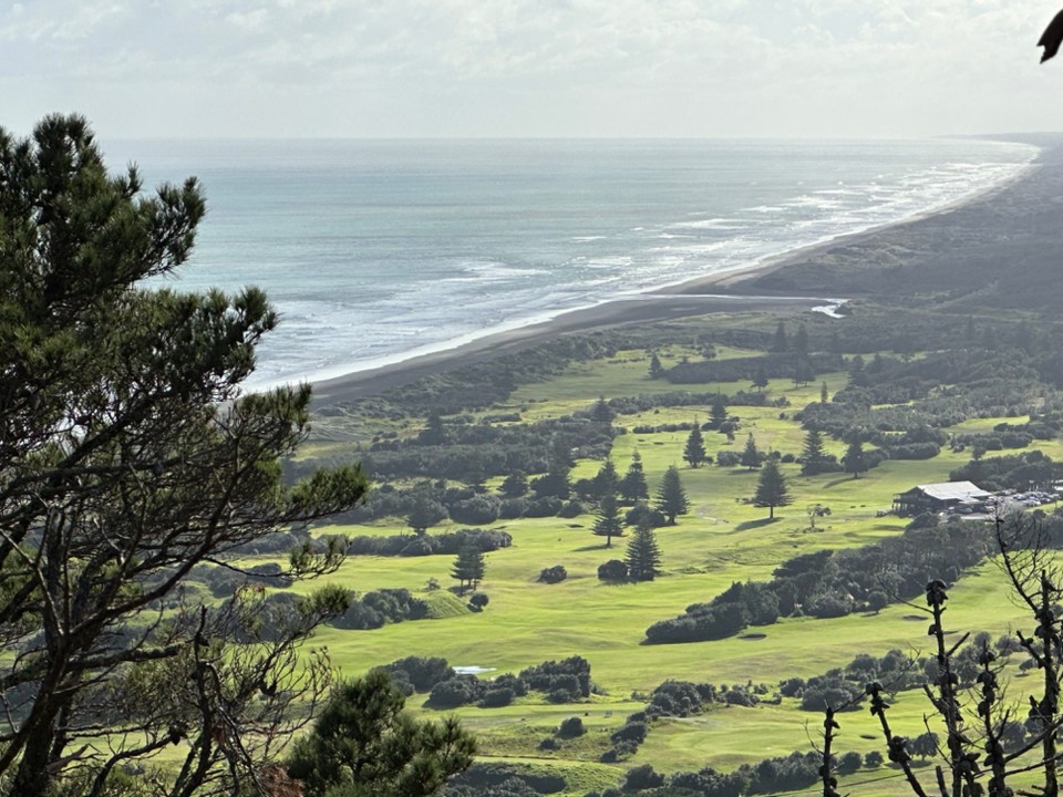Neuseeland - Auckland - Muriwai Beach Im Waikatere Ranges National Forest