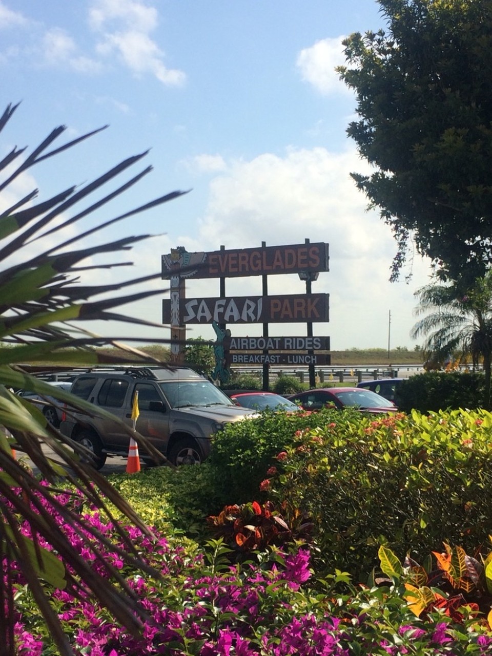 Vereinigte Staaten - Miami Beach - Ausflug in die Everglades.