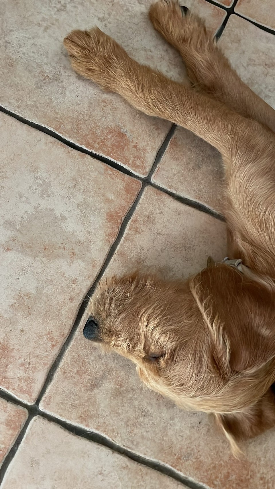 Italien - Alberobello - Baden macht müde 😴 