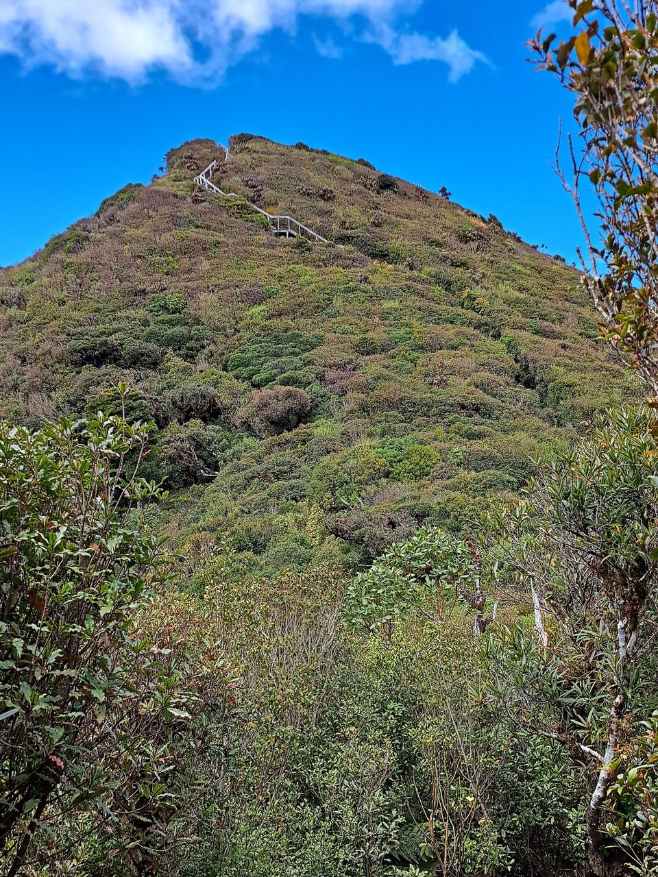 Neuseeland - Puketotara - 