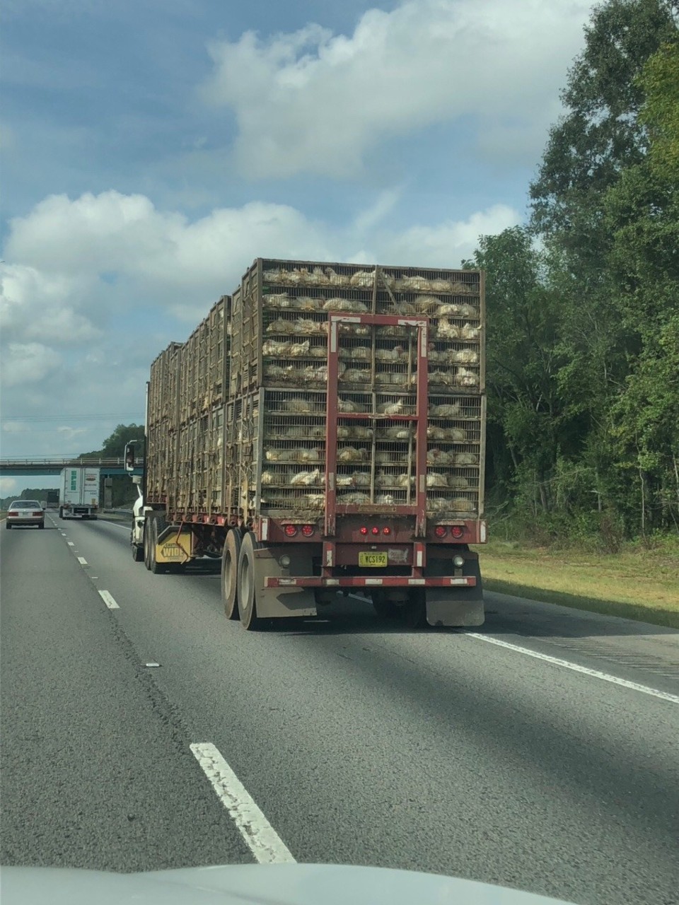 Vereinigte Staaten - Atlanta - 