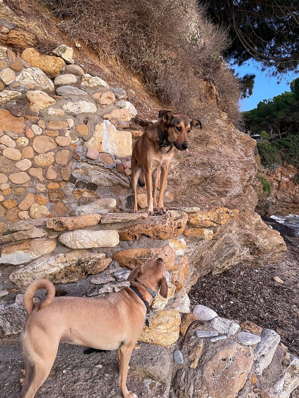 Italien - Capoliveri - An unserem Strand