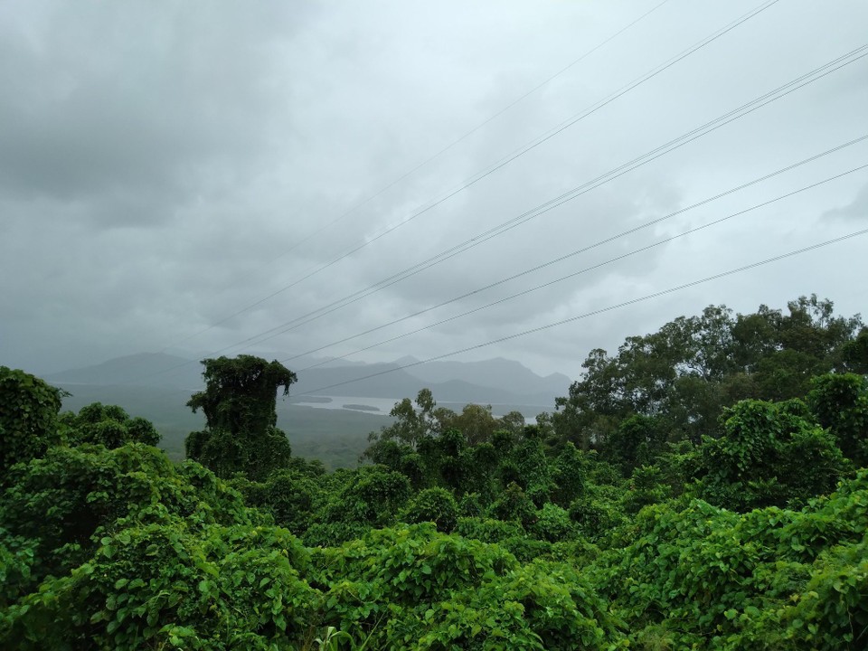 Australien - Townsville City - Blick über den Regenwald