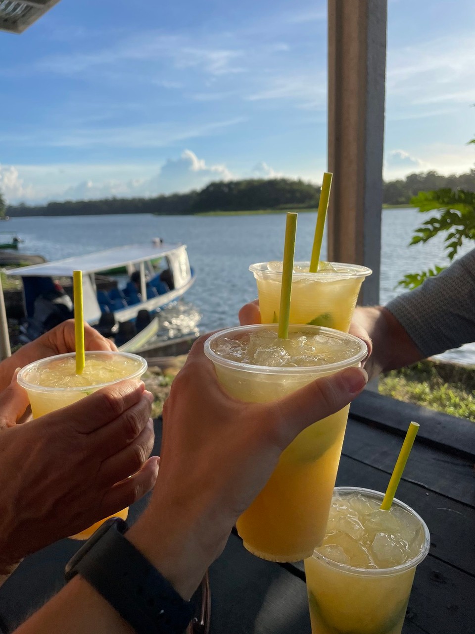 Costa Rica - Pococí - Noch den „best Mojito in Town“ probieren, bevor es mit dem Wassertaxi ein letztes Mal zurück ins Hotel ging 🚣 