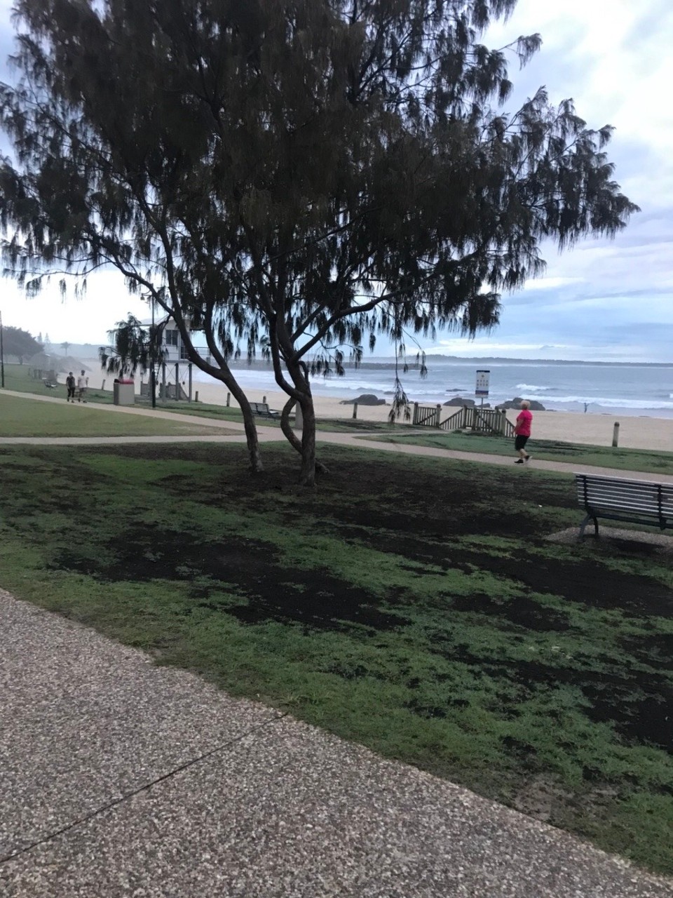 Australien - Port Macquarie - 