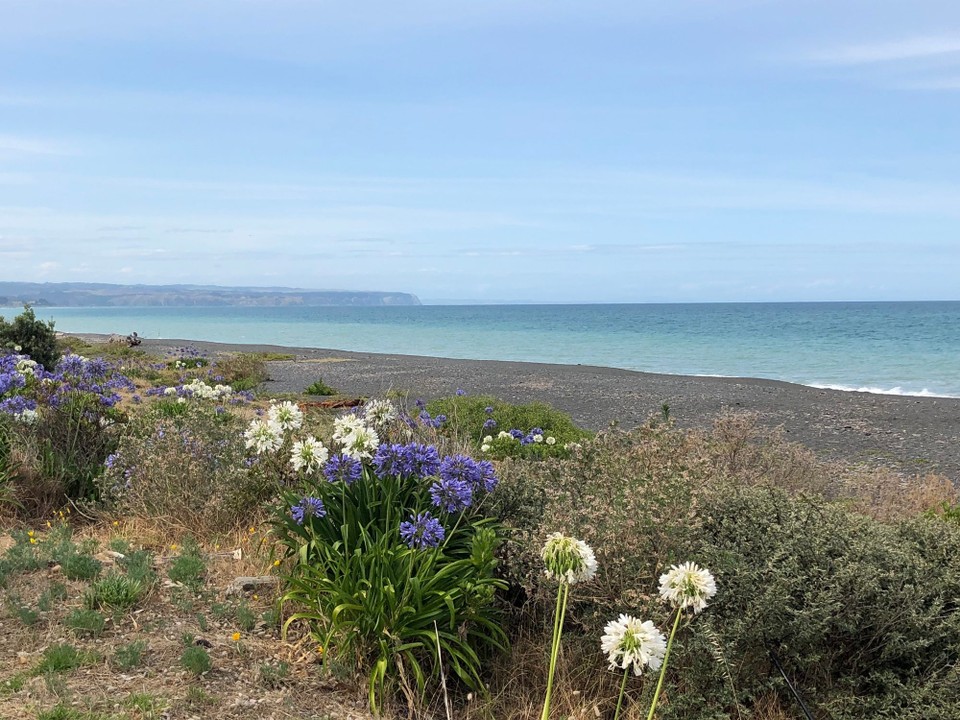 Neuseeland - Bay View - Direkt am schwarzen Steinstrand