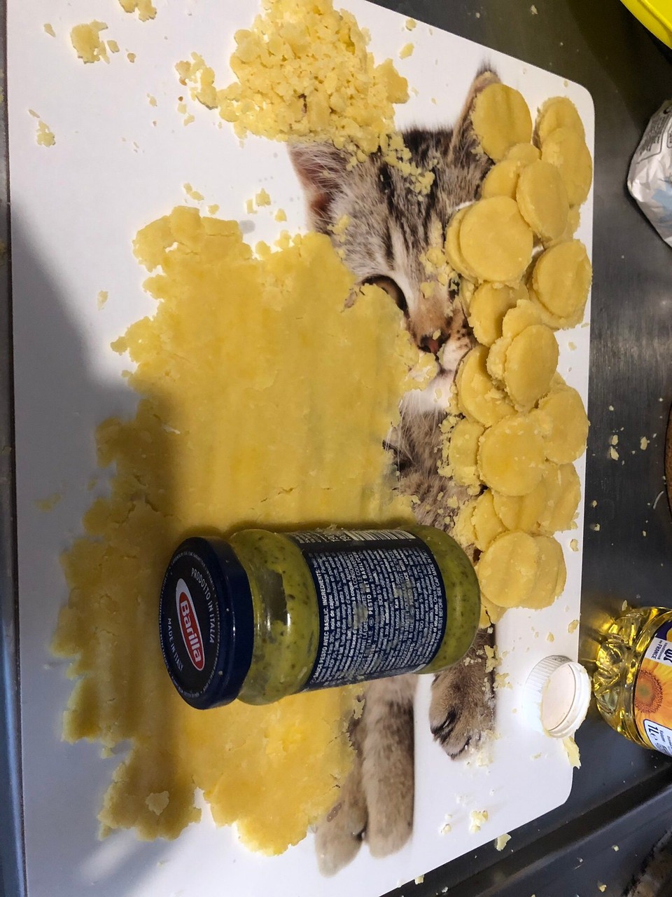 Frankreich - Grenoble - 