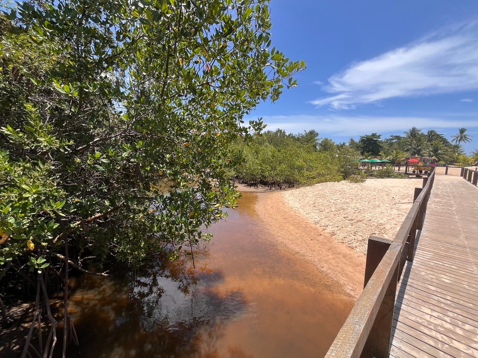 Brasilien - Jacuípe - 