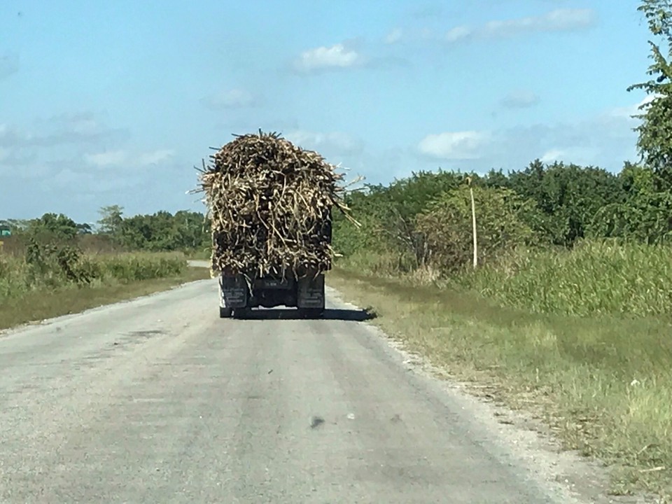 Belize -  - 