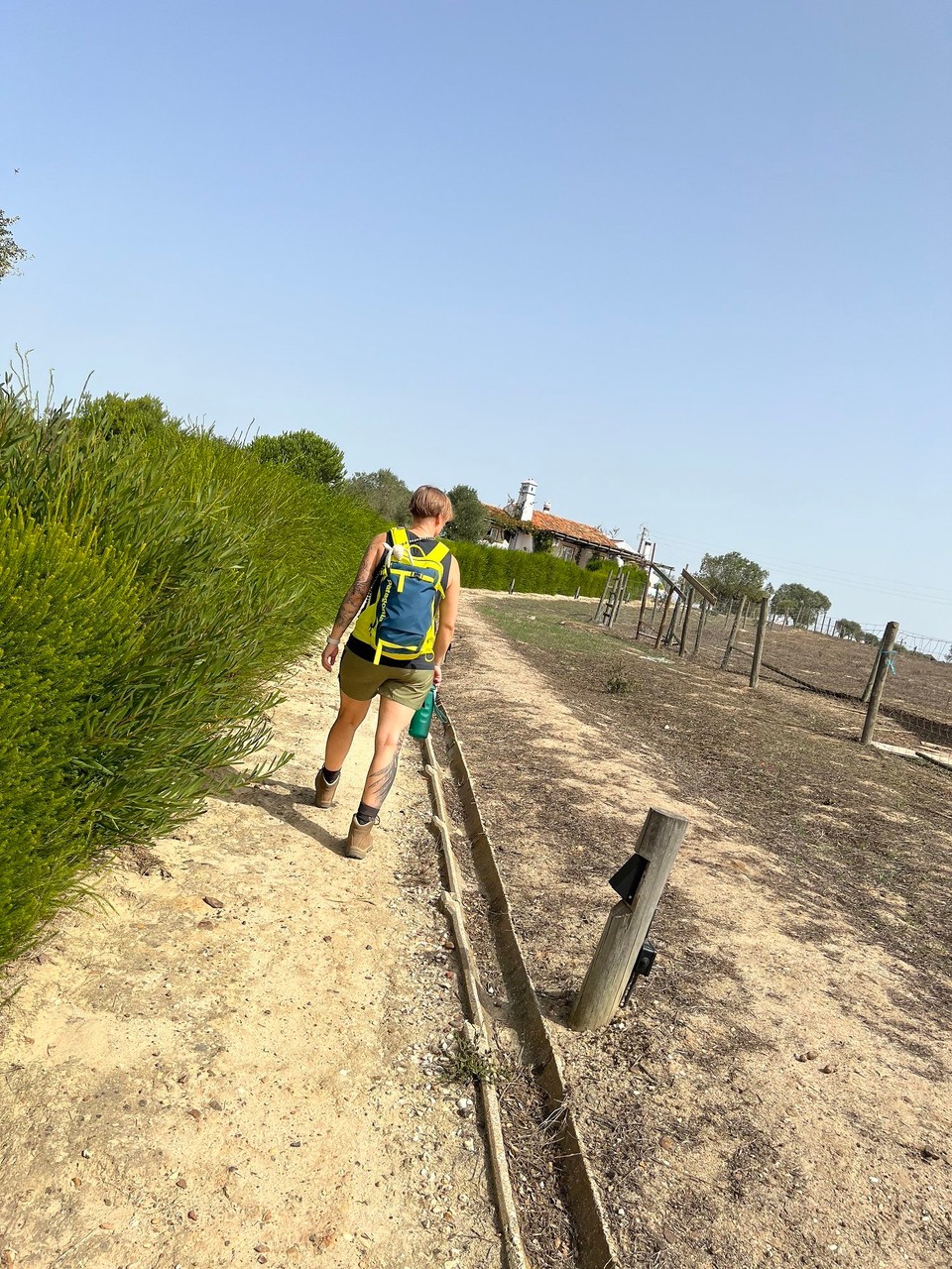 Portugal - Zambujeira do Mar - Fast da…