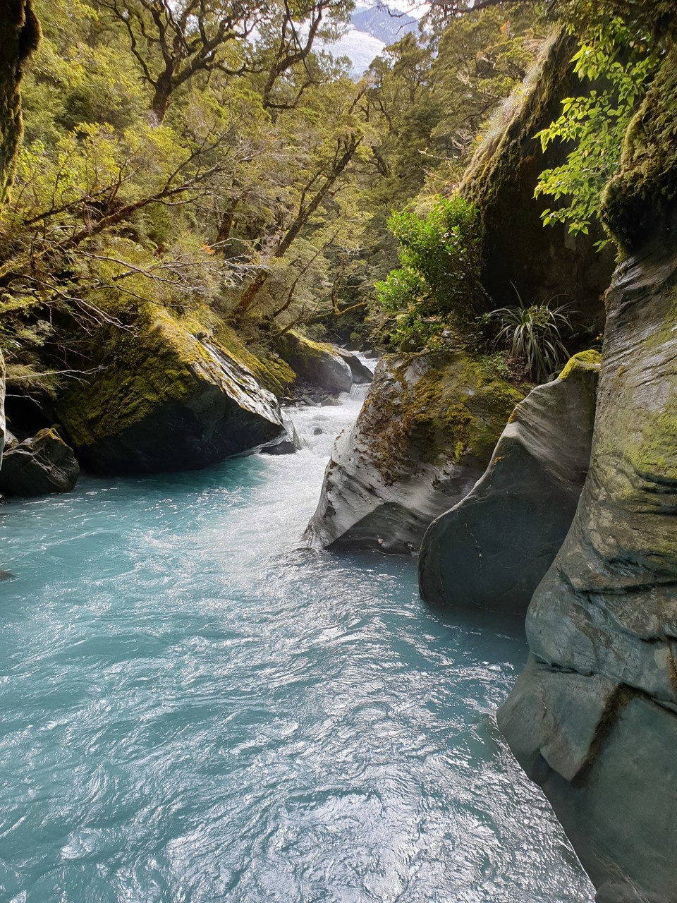 Neuseeland - Wanaka - 