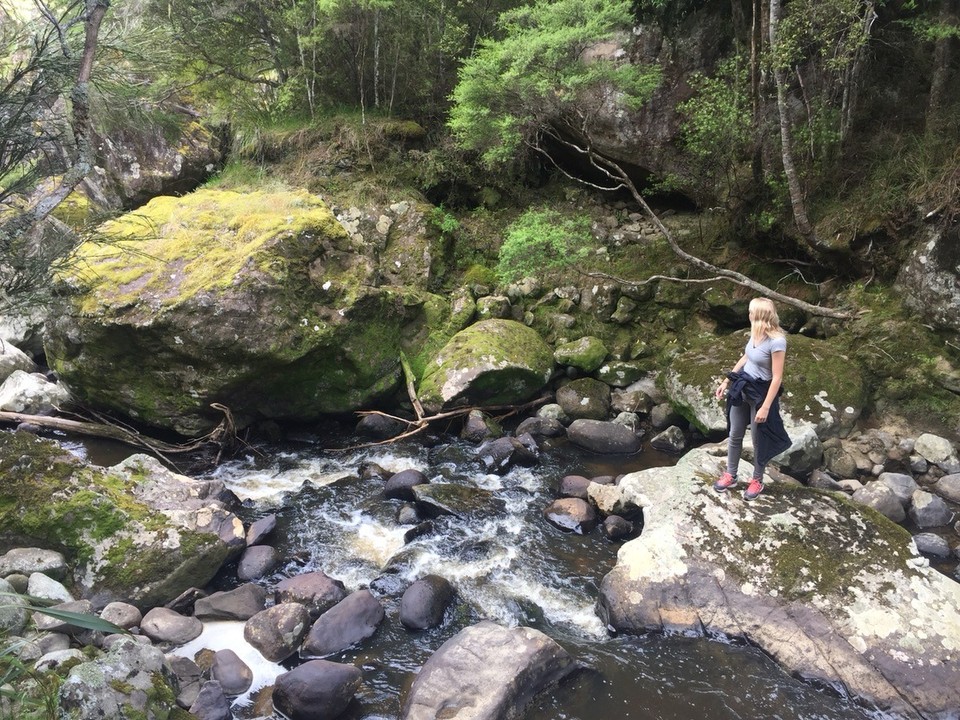  - Neuseeland, Horeke, Wairere Boulders - 