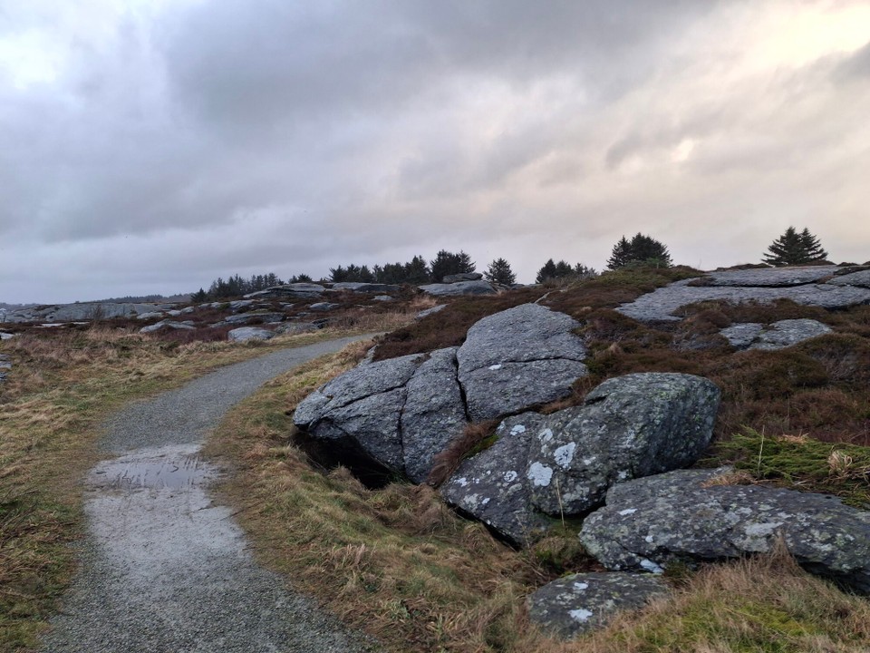 Norwegen - Hafrsfjord - 