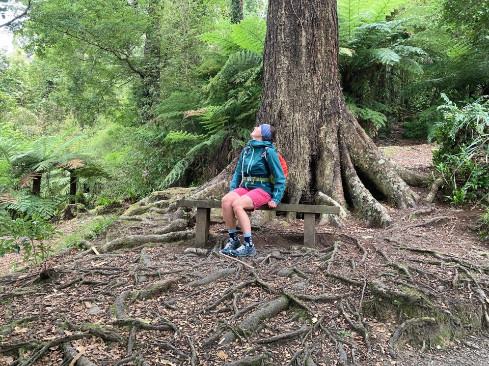 Neuseeland - Upper Hutt - 