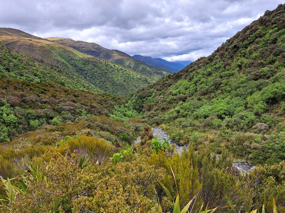 Neuseeland - West Coast - 