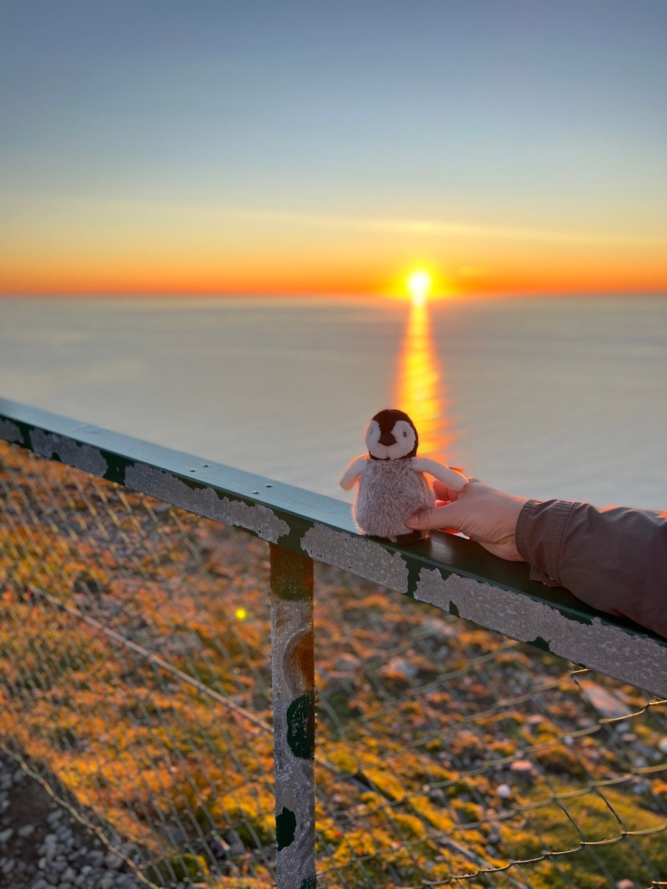 Norwegen - Nordkapp - Fridolin ist auch mitgekommen und er hat sich pudelwohl gefühlt. 