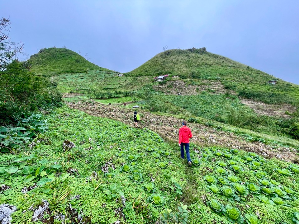 Philippinen - Moalboal - 