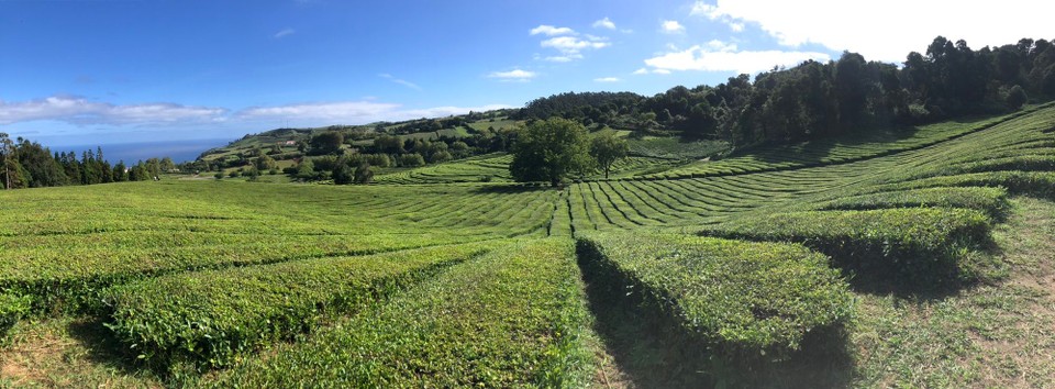 Portugal - Ribeira Grande - 