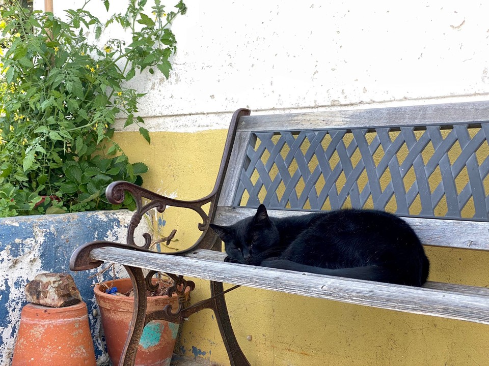 Portugal - Aljezur - 