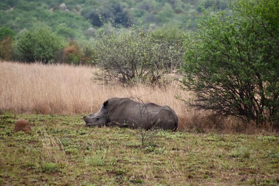 Südafrika - Mogwase - 