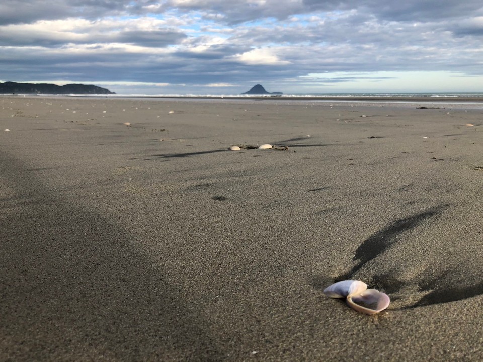 Neuseeland - Whakatane - Adios Whale Island!