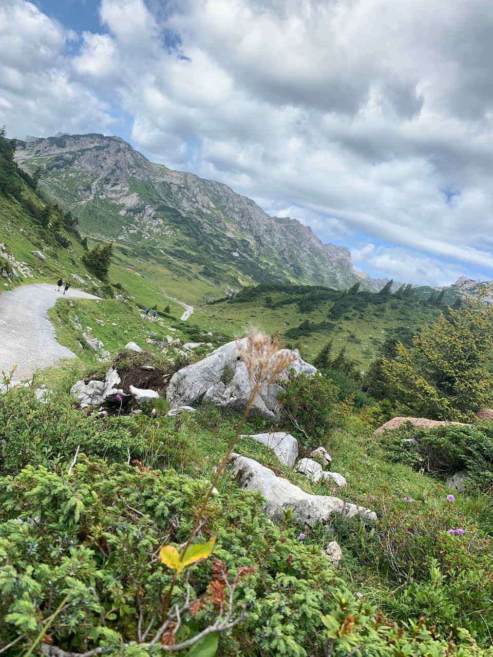 Österreich - Dalaas - 