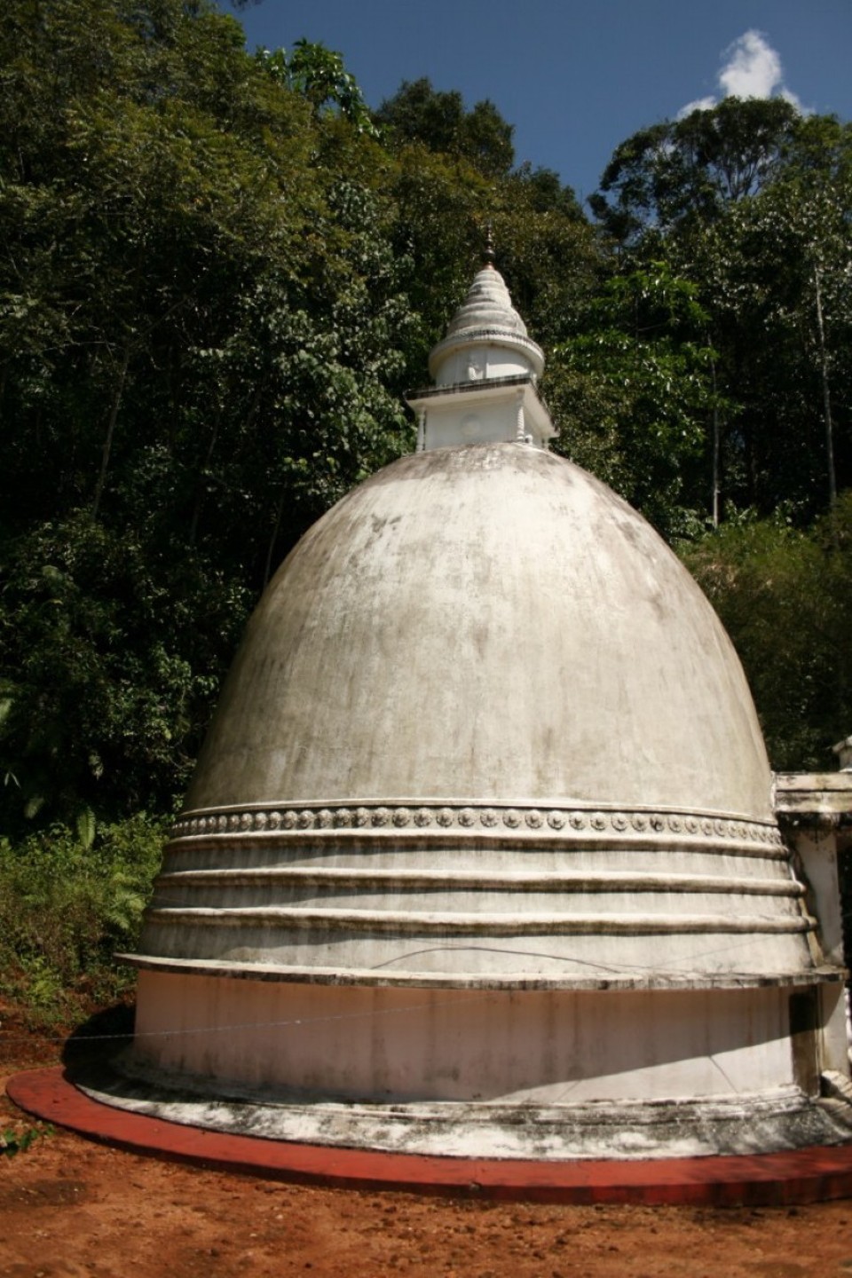 Sri Lanka - Sinharaja Forest - 