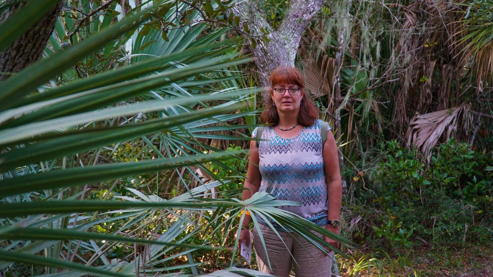 USA - Ponce Inlet - 