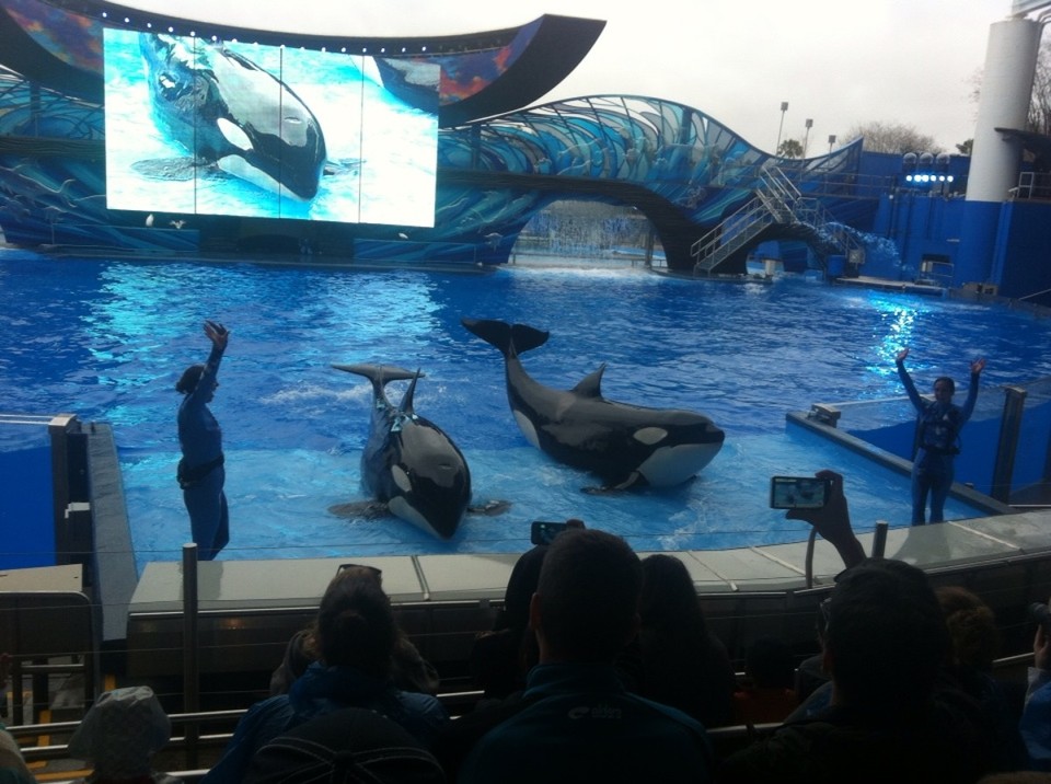 Egyesült Államok - Orlando - 