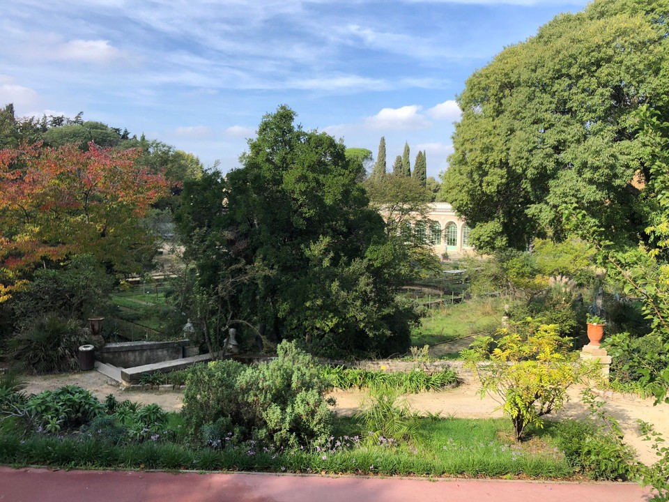 Frankreich - Montpellier - 