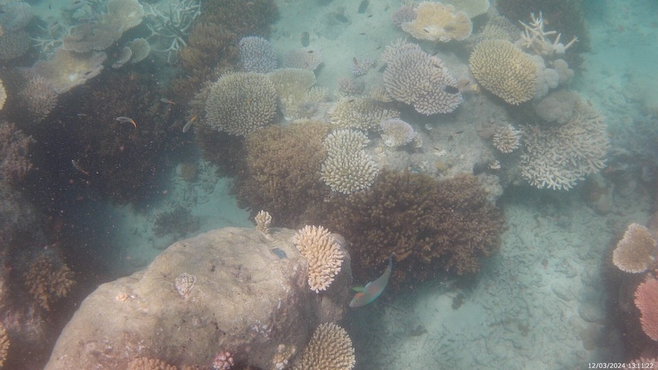 Australien - Cape Conway - 