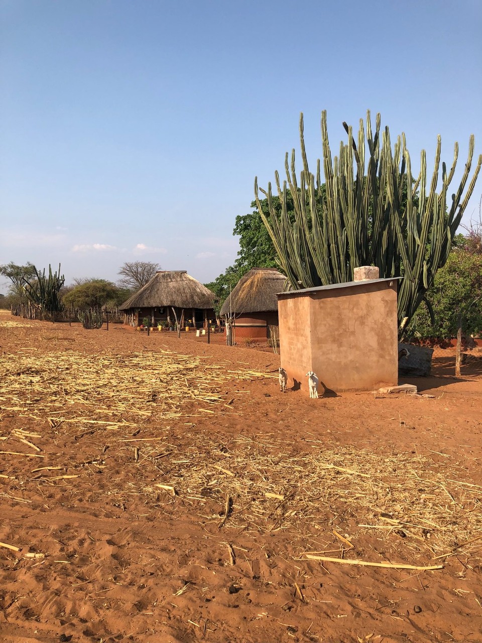 Simbabwe - Victoria Falls - 