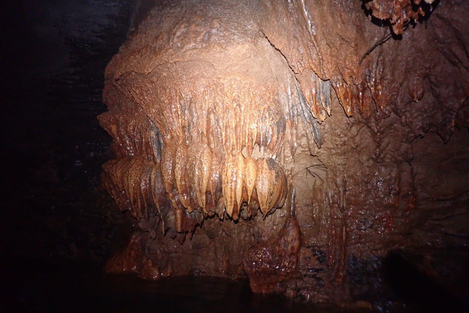 Neuseeland - Waitomo-Distrikt - 