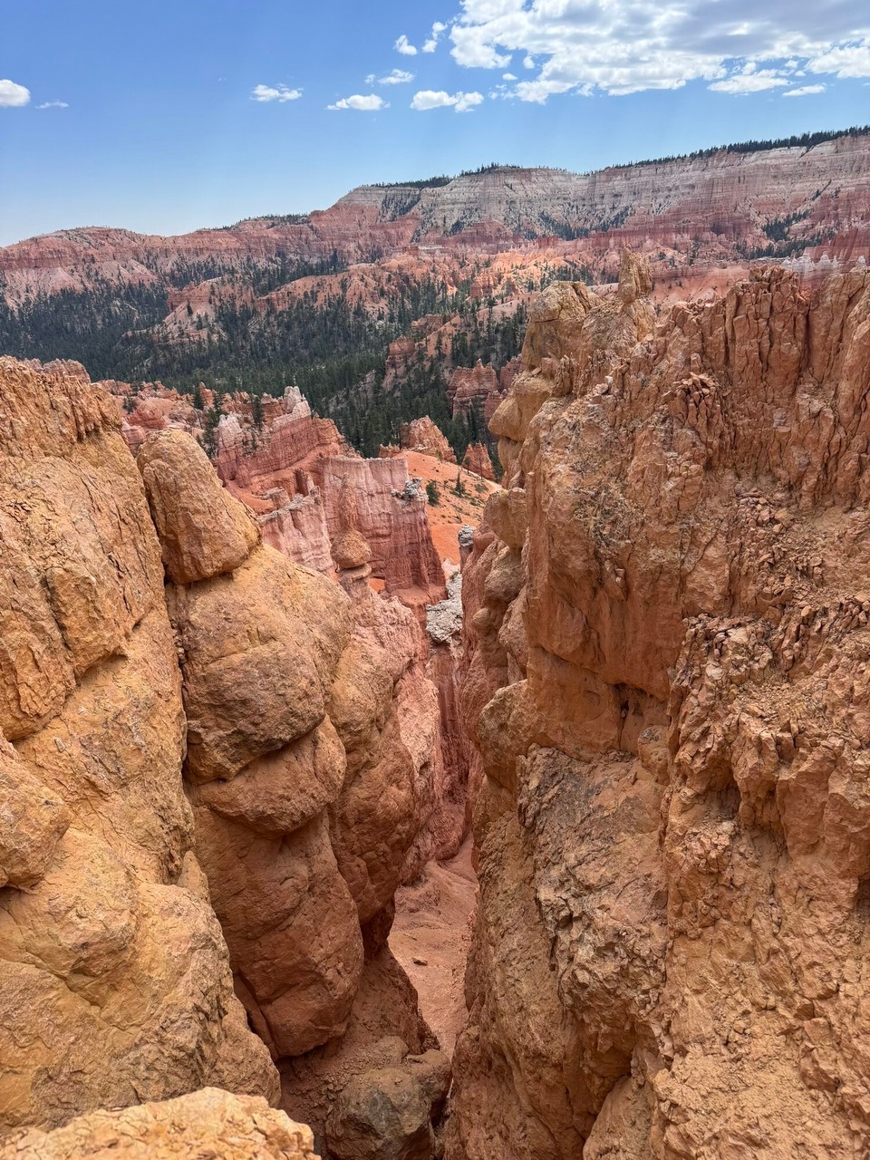 Vereinigte Staaten - Bryce Canyon - 