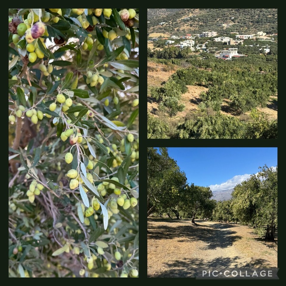 Griechenland - Myrthios - 