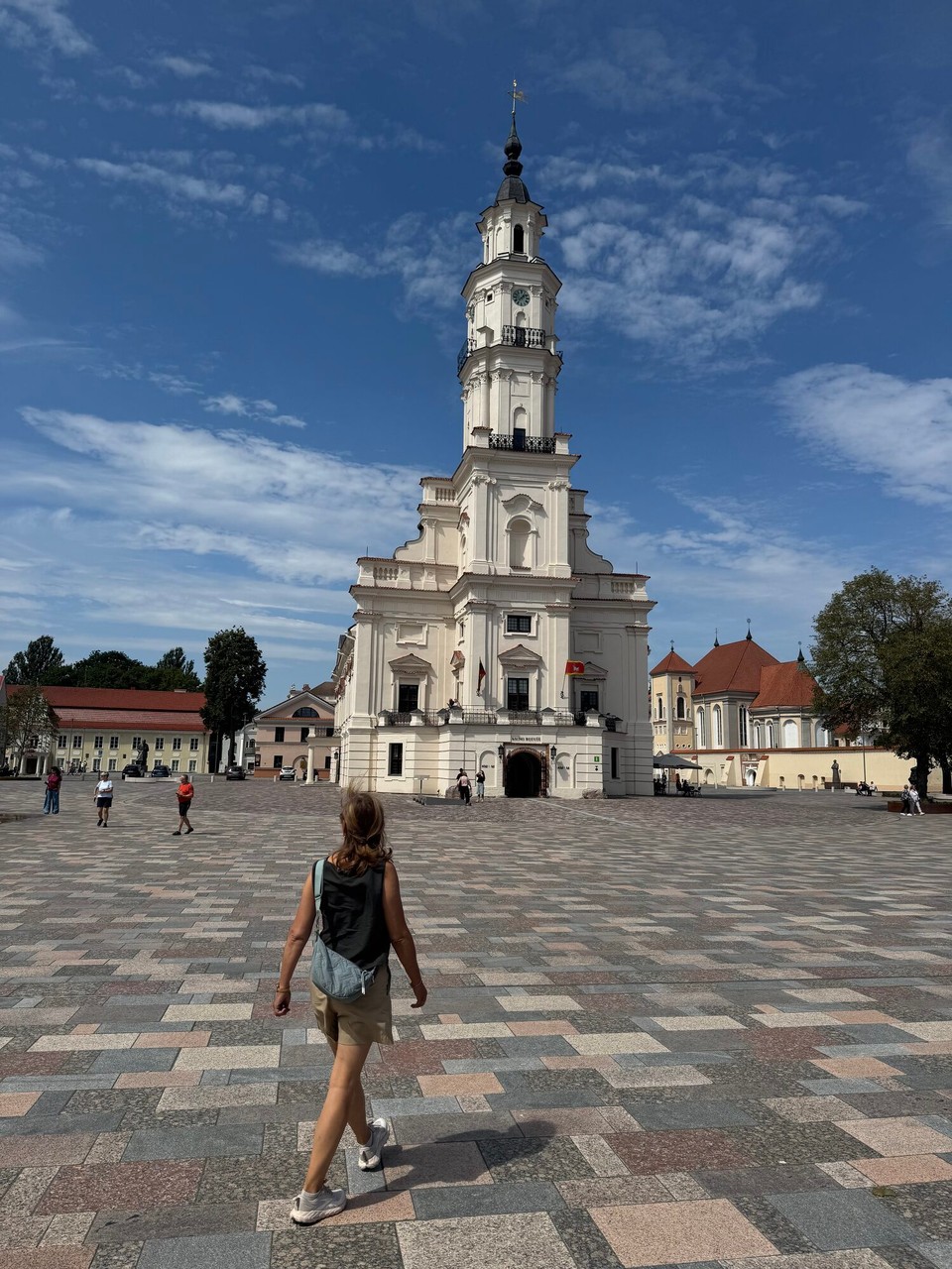 Litauen - Vilnius - Der weiße Schwan (Rathaus)