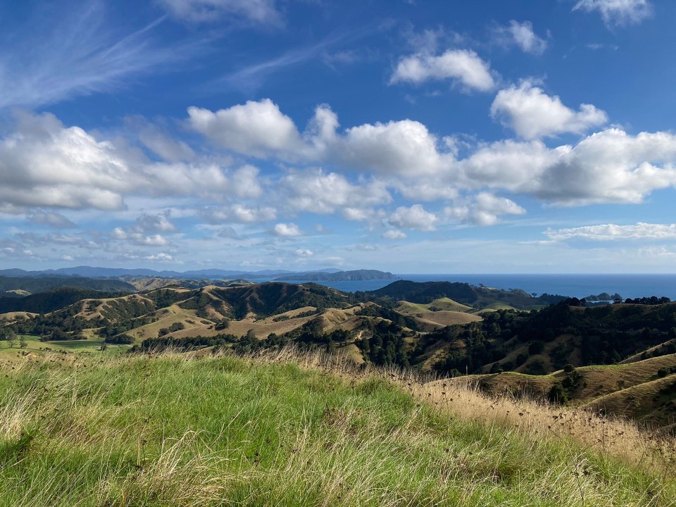 Neuseeland -  - 