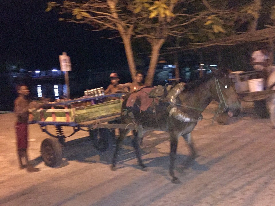 Brasilien - Cairu - Transportmittel auf der Insel