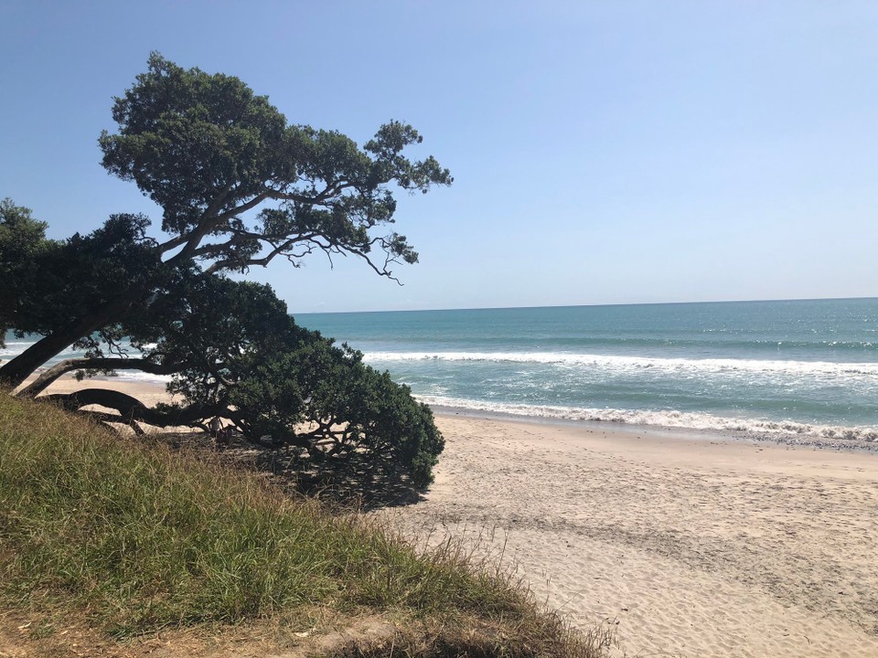 Neuseeland - Waihi Beach - Atemberaubend 