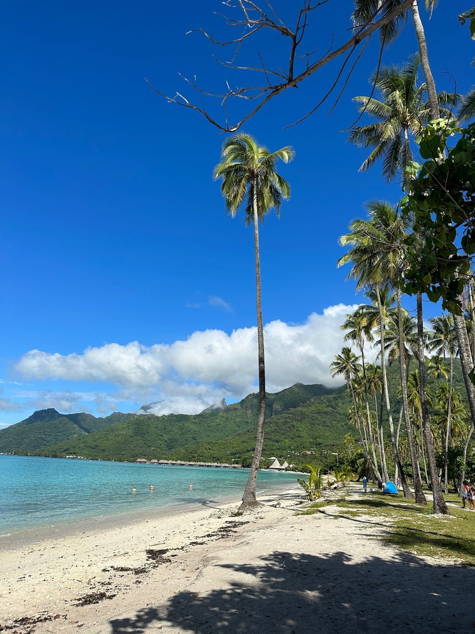 Französisch-Polynesien - Moorea-Maiao - …mein Strand