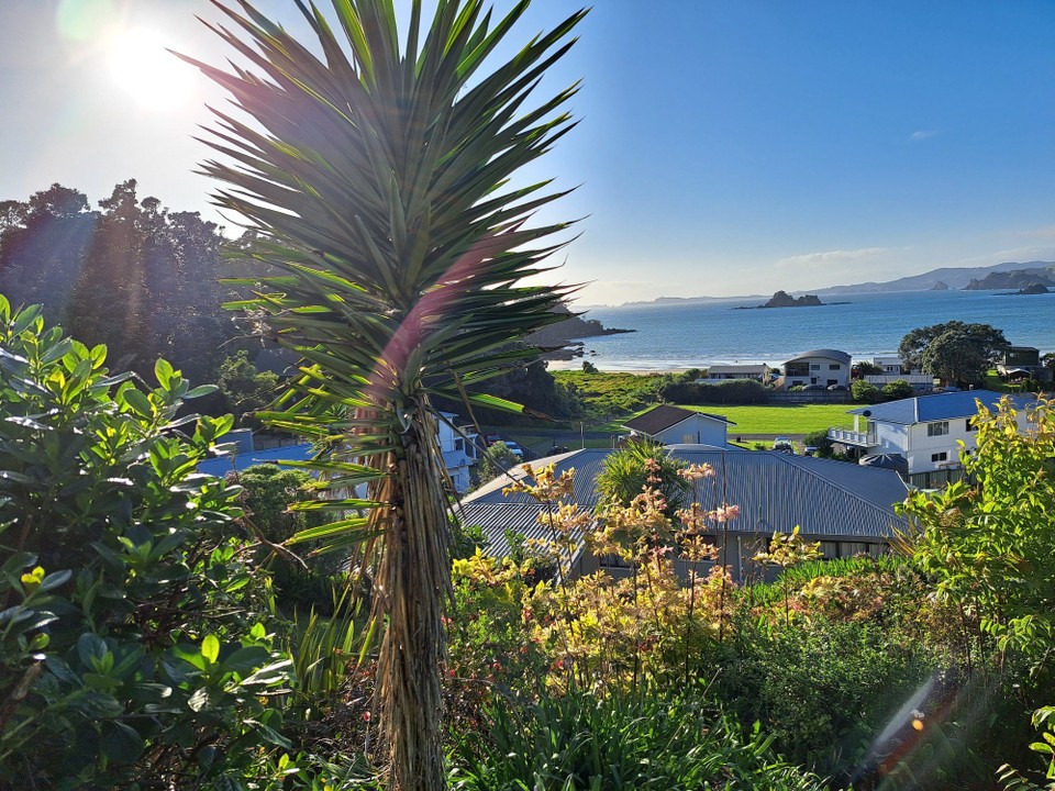 Neuseeland - Matapouri - 